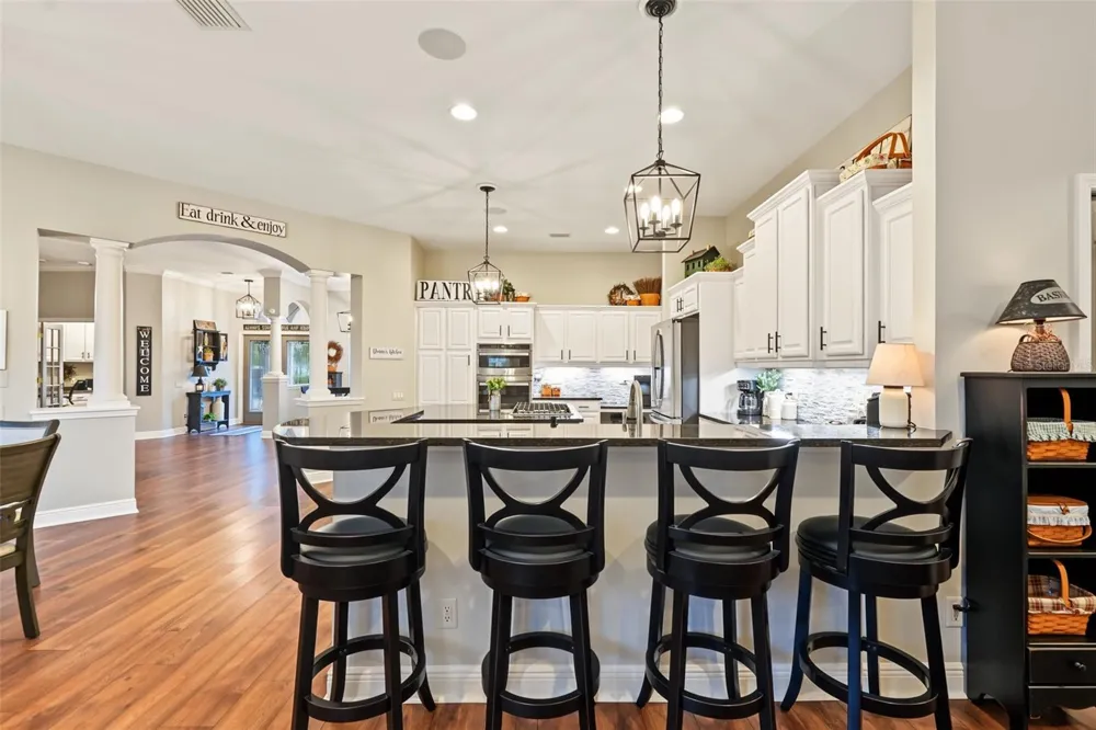 3187 ST MARTIN STREET Tarpon Springs, FL 34688
