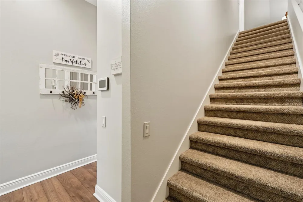 3187 ST MARTIN STREET Tarpon Springs, FL 34688