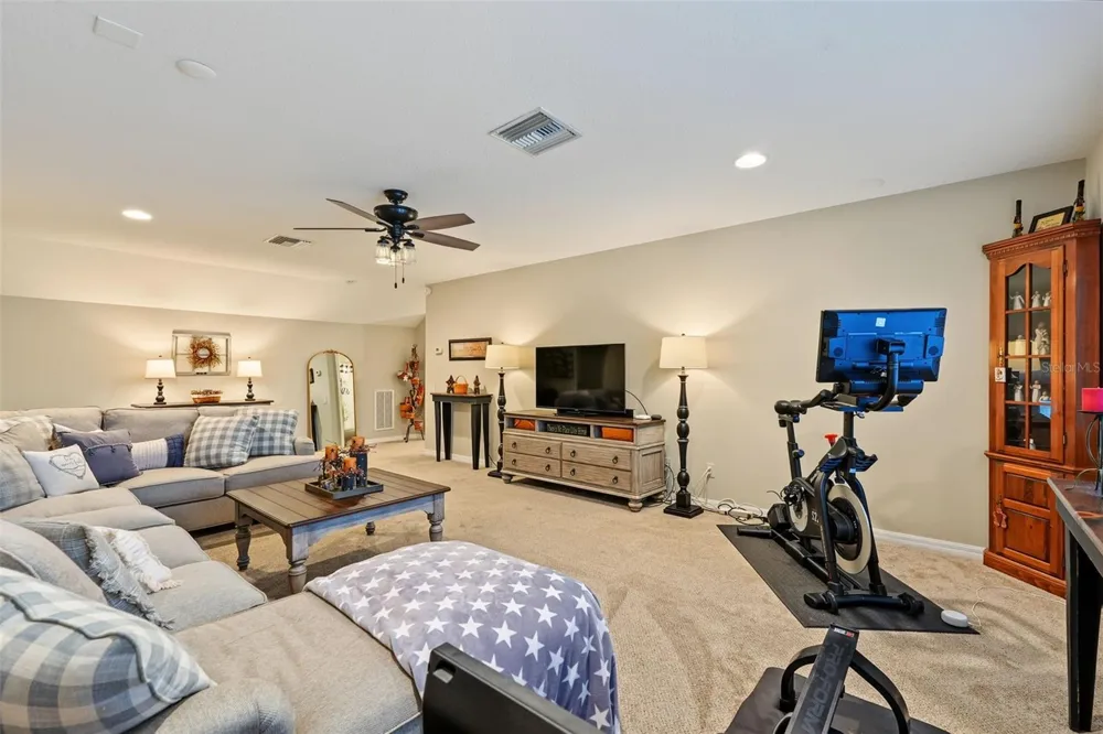 3187 ST MARTIN STREET Tarpon Springs, FL 34688