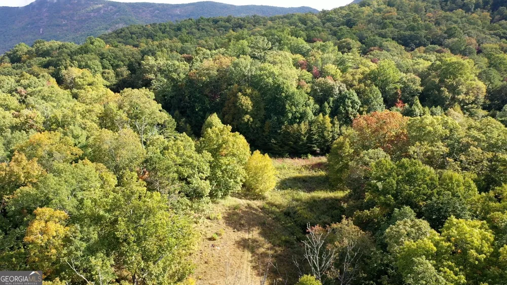 0 Lloyds CV Scaly Mountain, NC 28775