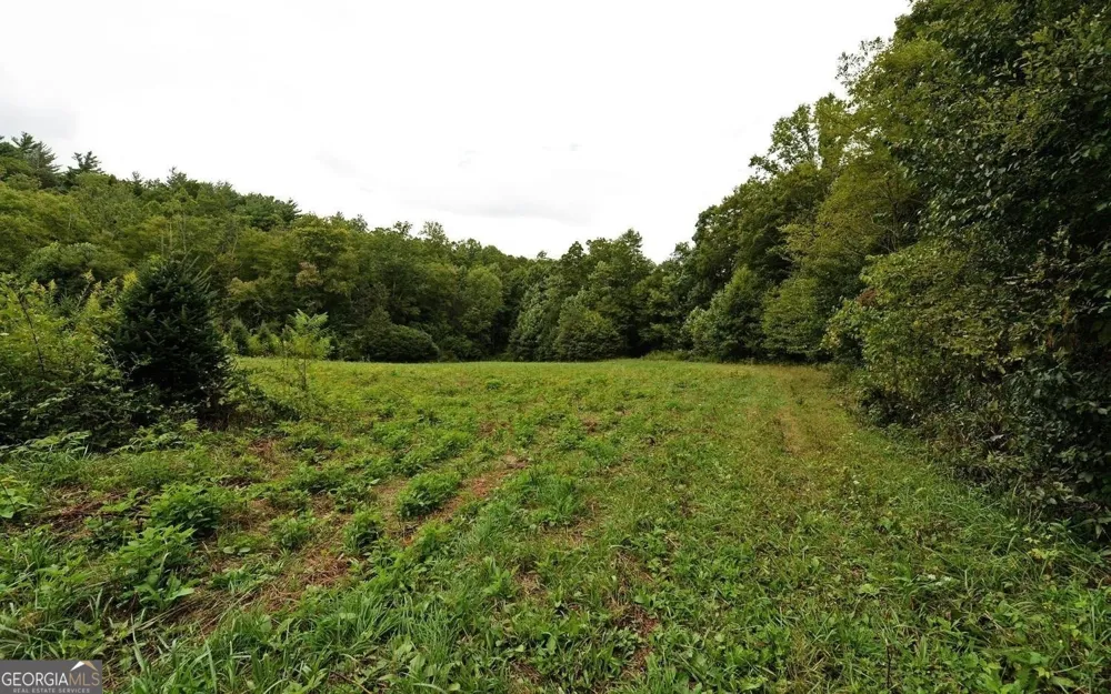 0 Lloyds CV Scaly Mountain, NC 28775