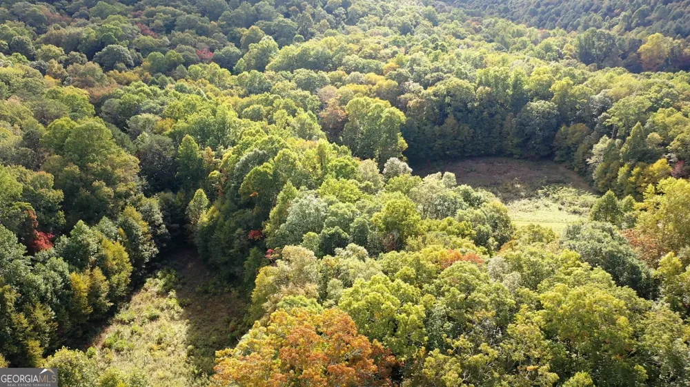 0 Lloyds CV Scaly Mountain, NC 28775