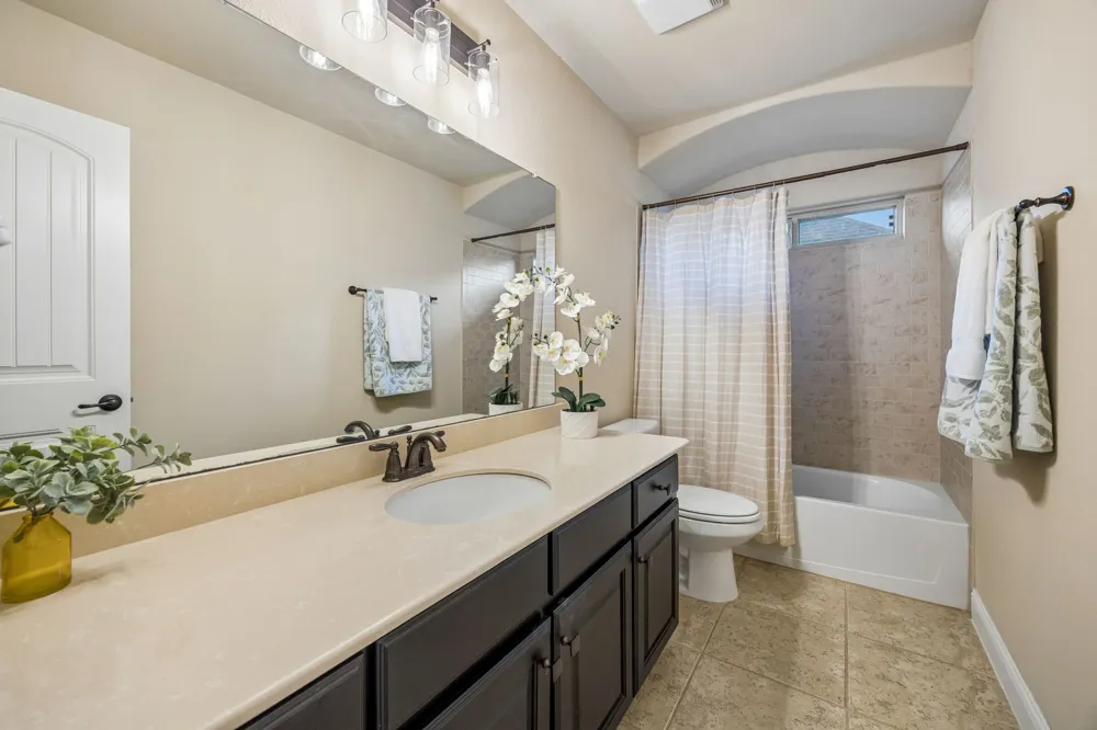 3702 Harlan Drive Sachse, TX 75048