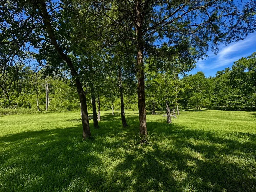 10812 Commonwealth Drive Iola, TX 77861