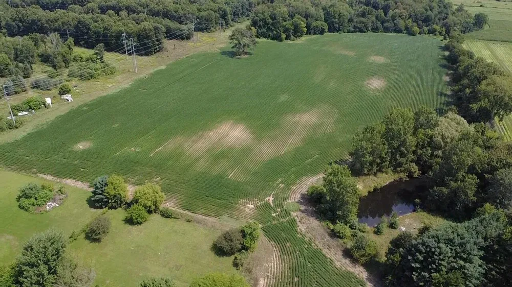 88375 Cr-668 Decatur, MI 49045
