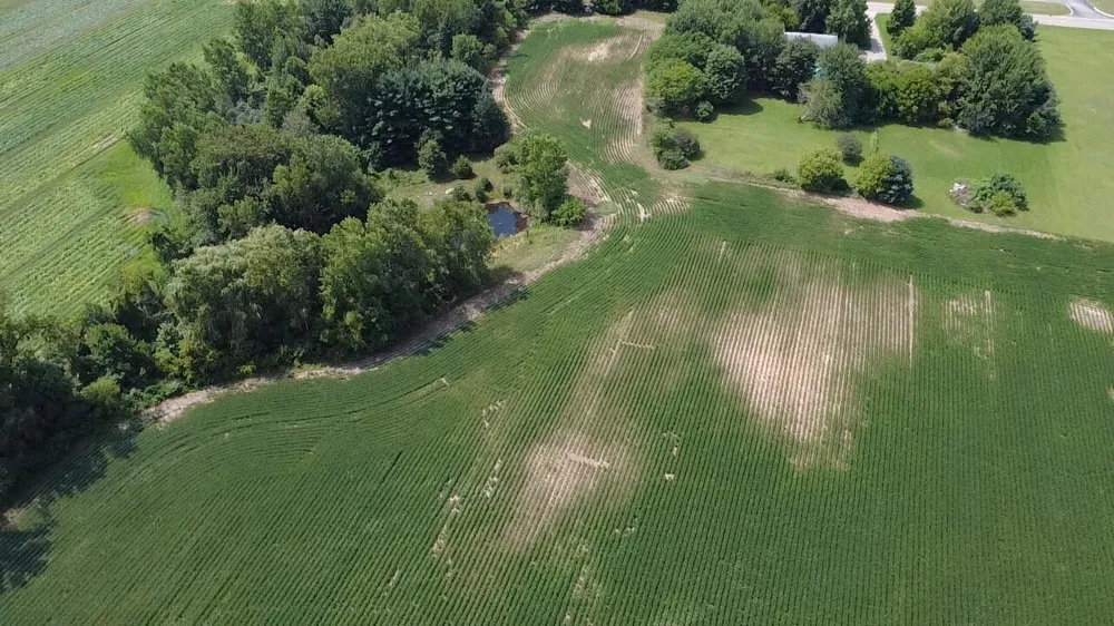 88375 Cr-668 Decatur, MI 49045