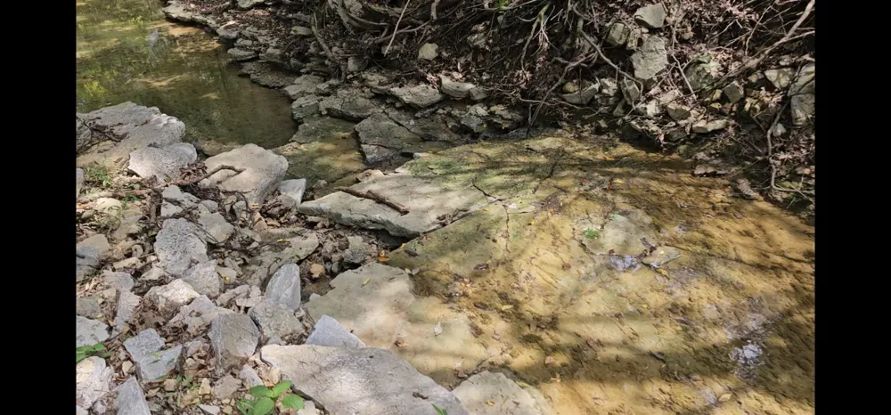 0 Whitfield Hollow Road Readyville, TN 37149