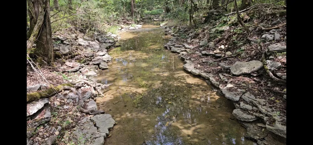 0 Whitfield Hollow Road Readyville, TN 37149