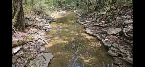 0 Whitfield Hollow Road