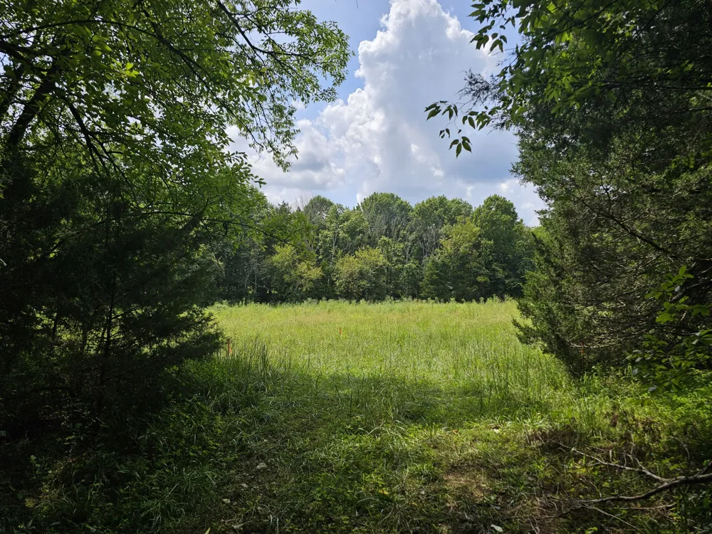 0 Whitfield Hollow Road Readyville, TN 37149