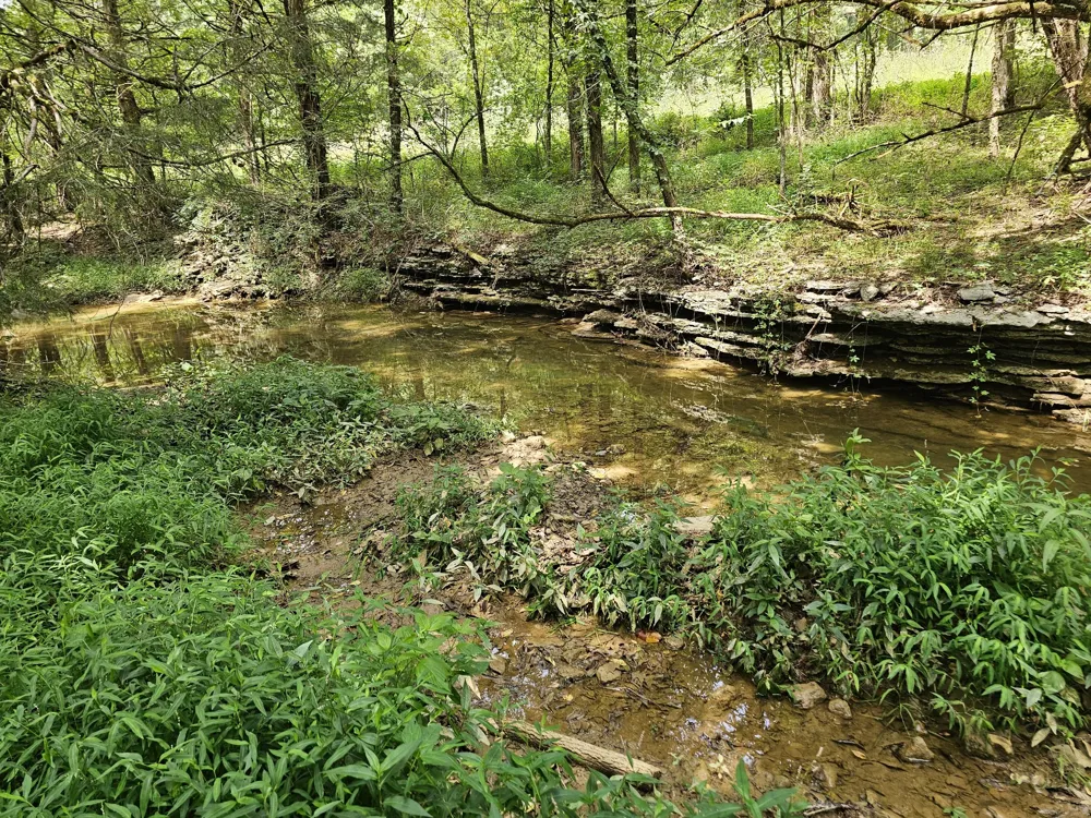 0 Whitfield Hollow Road Readyville, TN 37149
