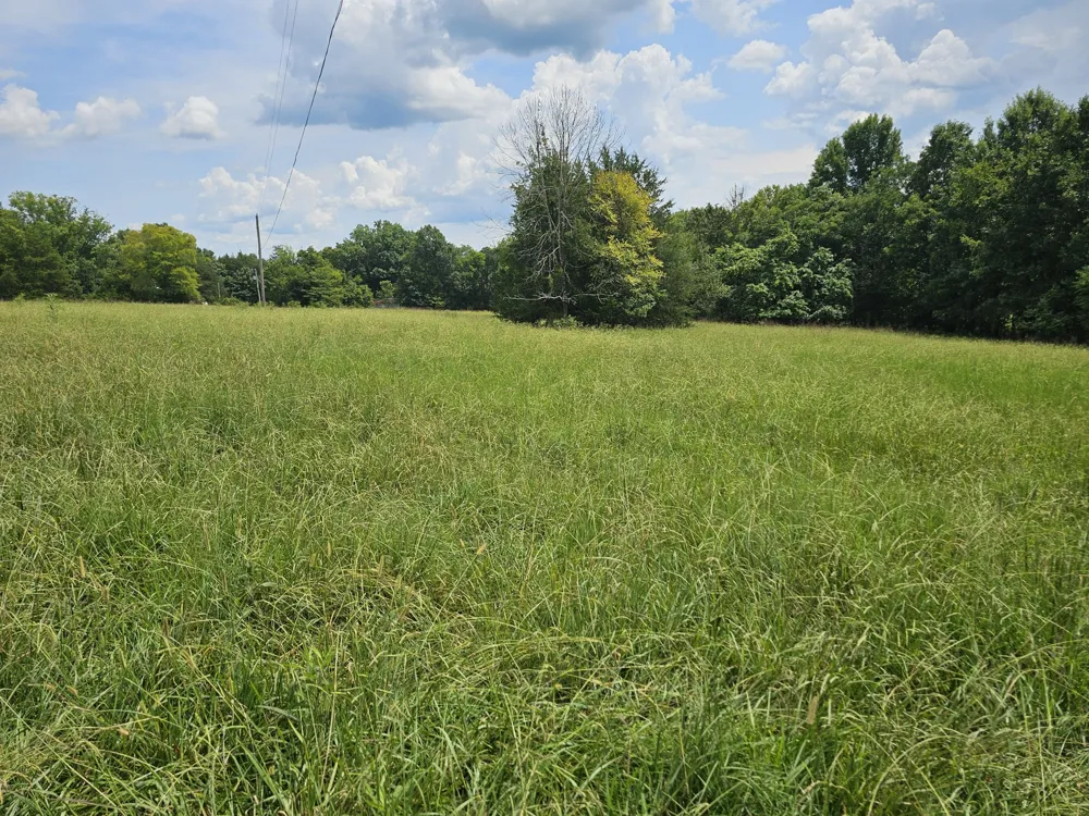 0 Whitfield Hollow Road Readyville, TN 37149