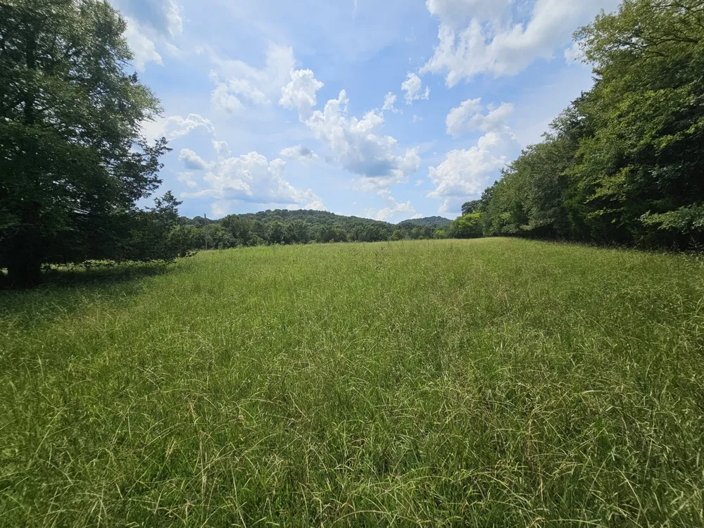 0 Whitfield Hollow Road Readyville, TN 37149