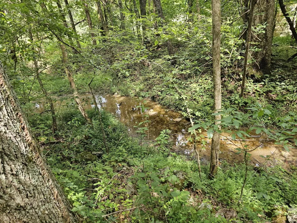 0 Whitfield Hollow Road Readyville, TN 37149