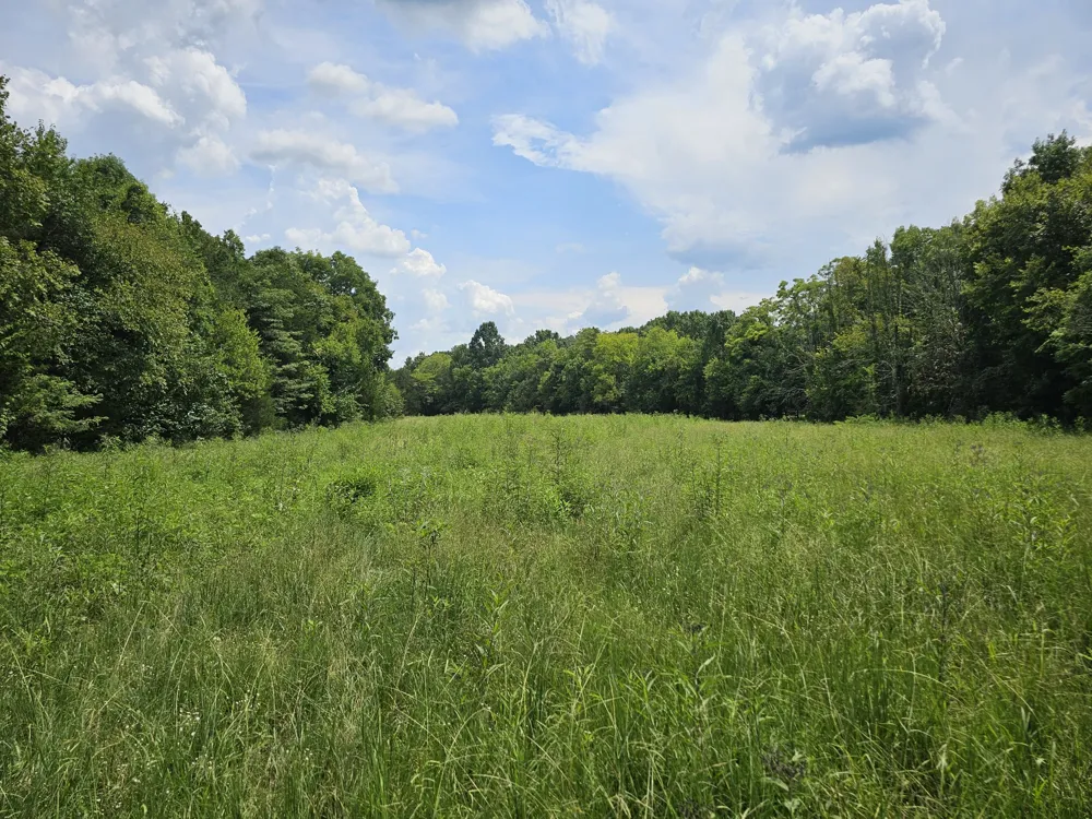 0 Whitfield Hollow Road Readyville, TN 37149