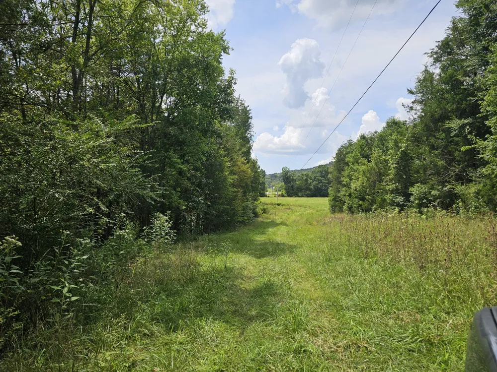 0 Whitfield Hollow Road Readyville, TN 37149