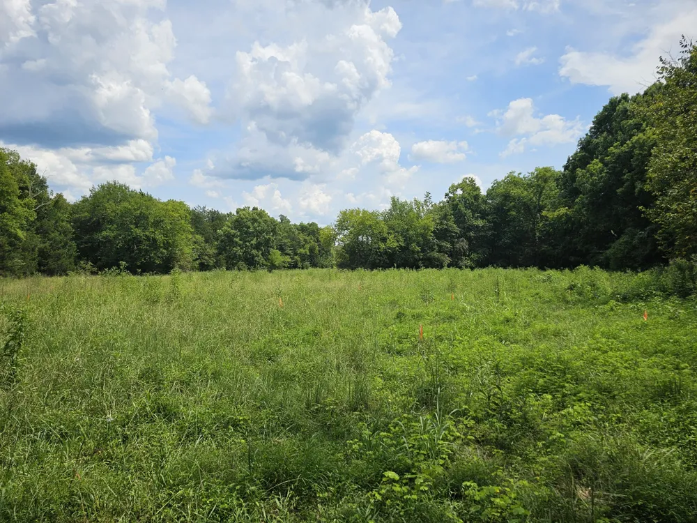 0 Whitfield Hollow Road Readyville, TN 37149