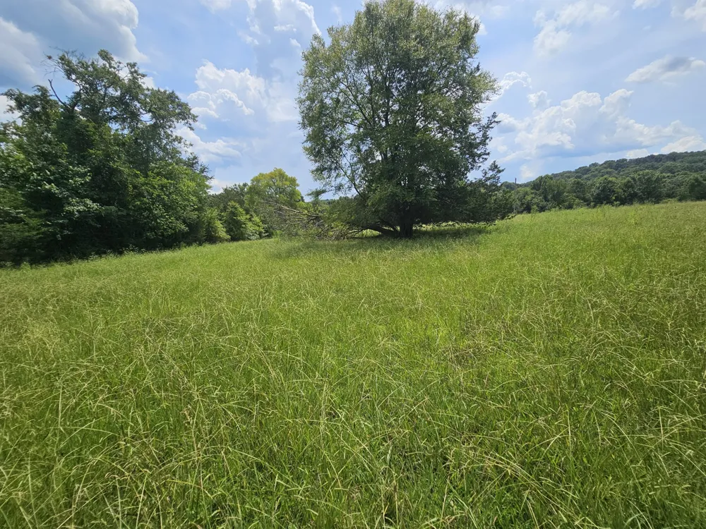 0 Whitfield Hollow Road Readyville, TN 37149