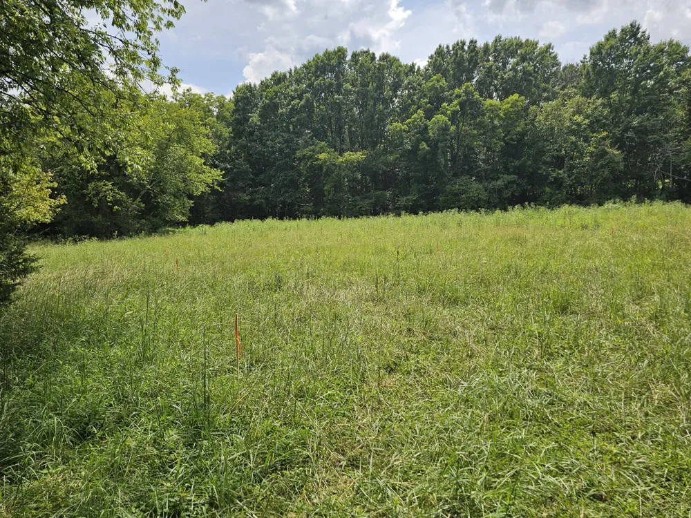 0 Whitfield Hollow Road Readyville, TN 37149