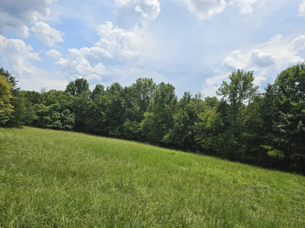 0 Whitfield Hollow Road Readyville, TN 37149