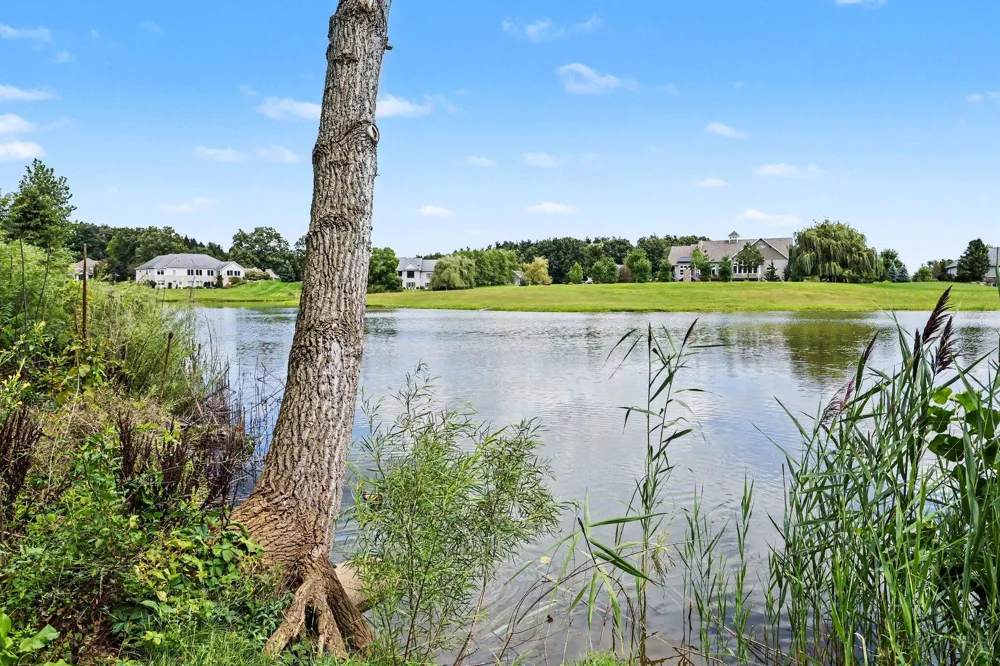 71451 Sanderling Drive Milton Township, MI 49120