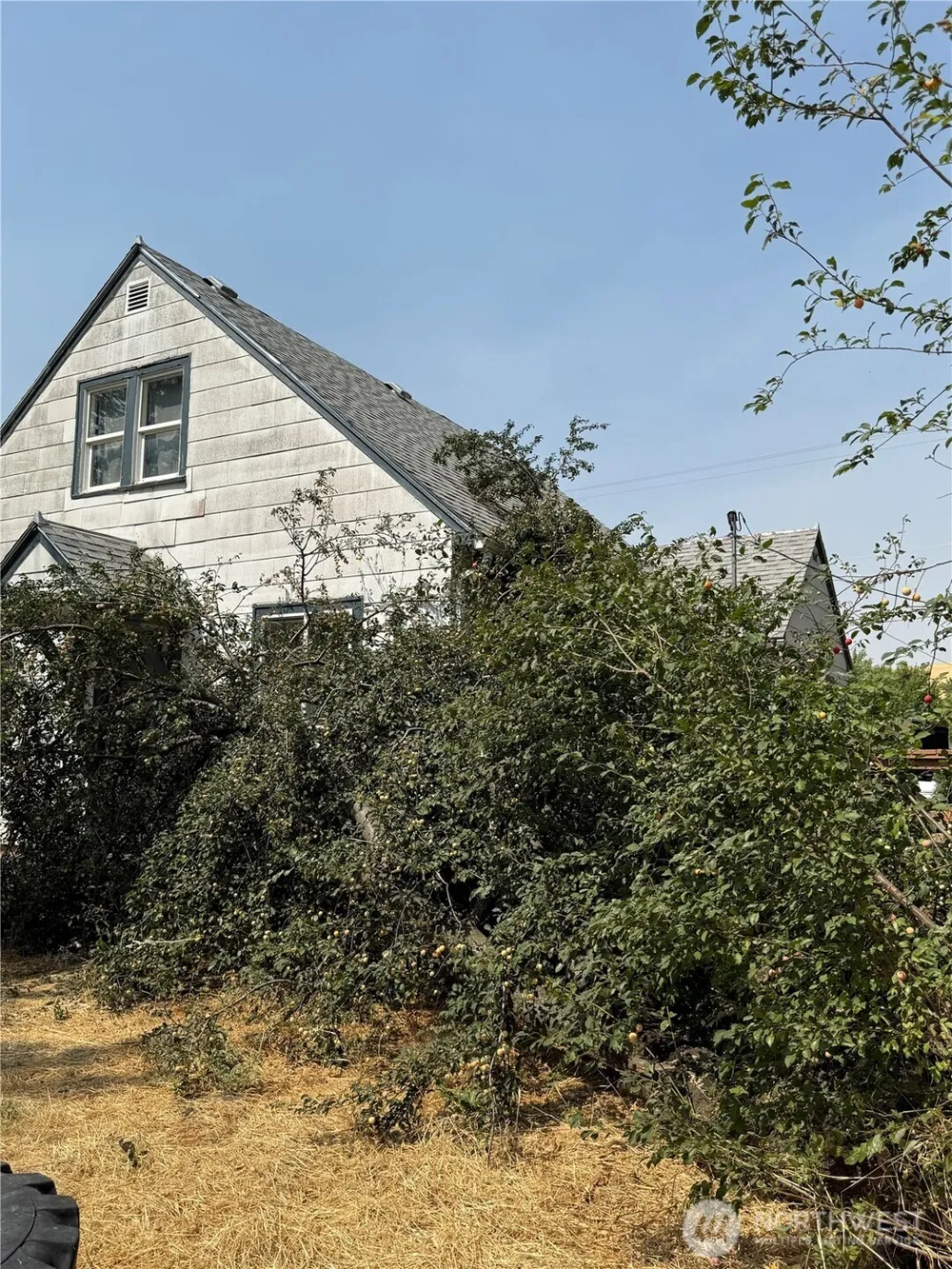115 W 2nd Street Waitsburg, WA 99361