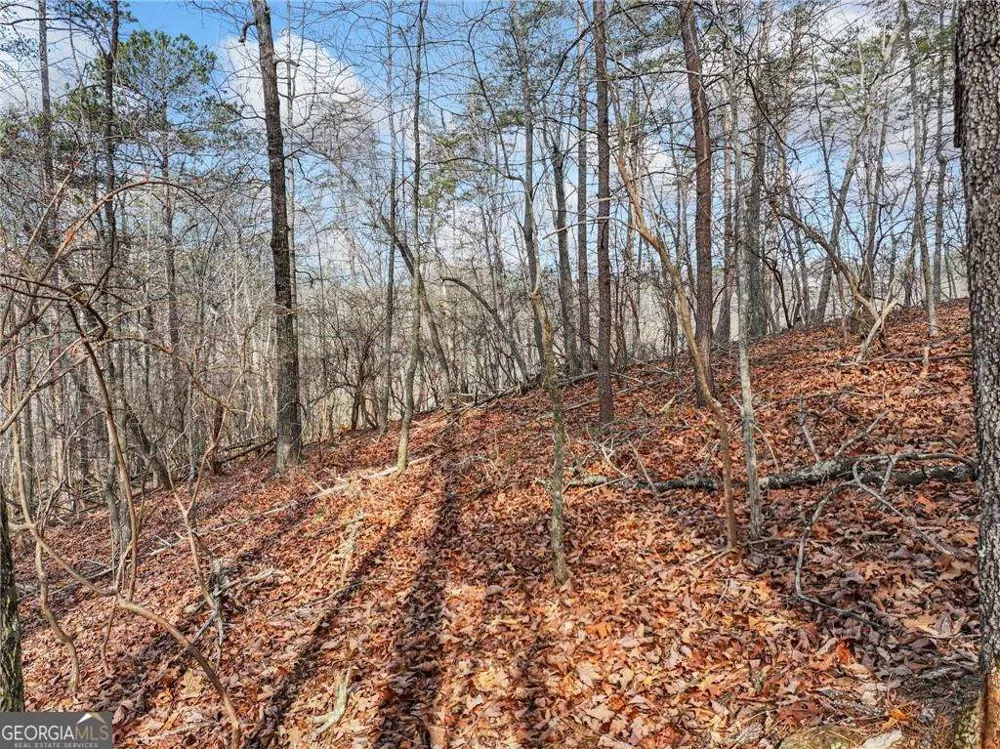 LOT 20 Crown Mountain WAY Dahlonega, GA 30533