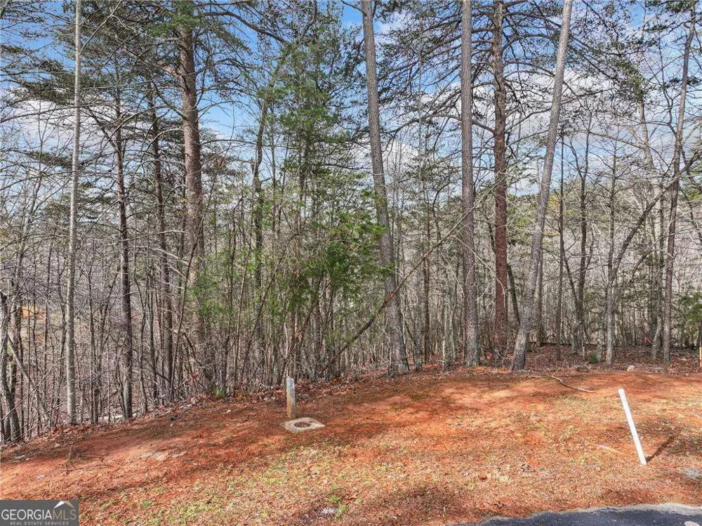 LOT 20 Crown Mountain WAY Dahlonega, GA 30533