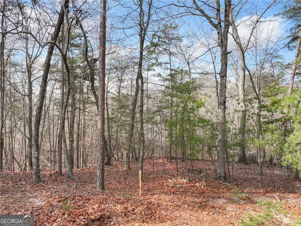 LOT 20 Crown Mountain WAY Dahlonega, GA 30533