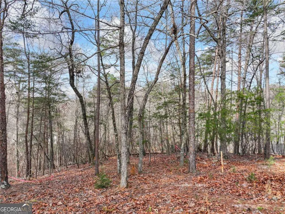 LOT 20 Crown Mountain WAY Dahlonega, GA 30533