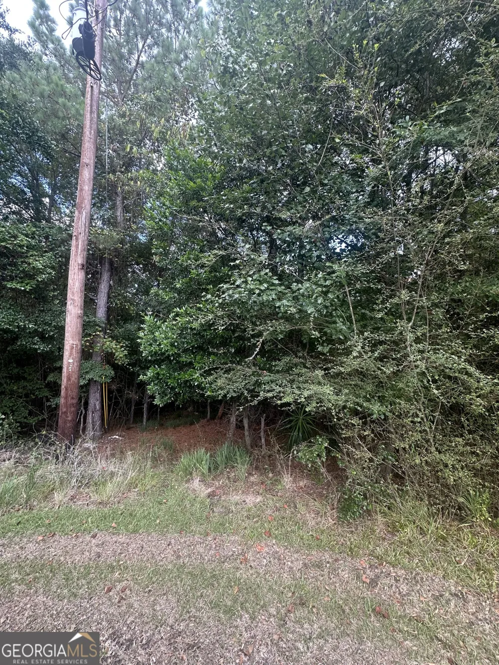 2390 Indigo CT Lizella, GA 31052