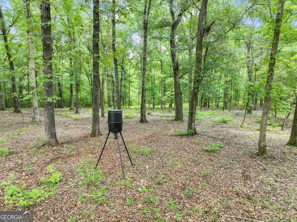 350 E Harp RD Thomaston, GA 30286