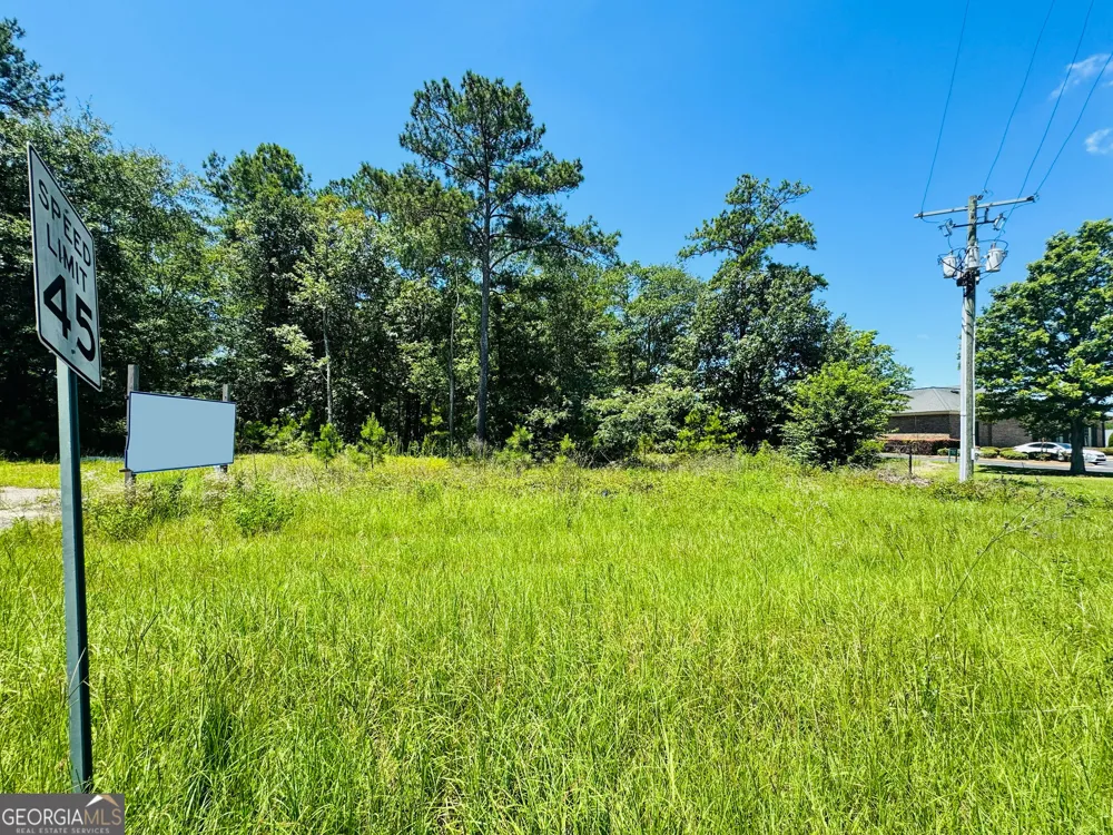 0 S Highway 441 Dublin, GA 31021