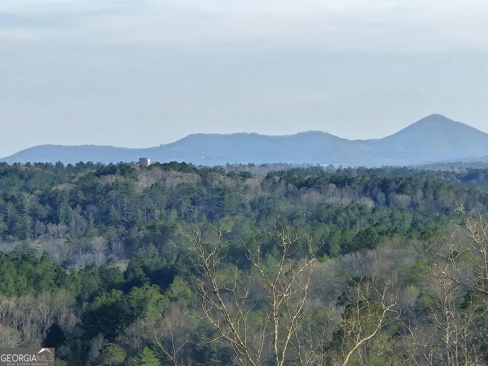 289 Anglers Ridge RD Talking Rock, GA 30175