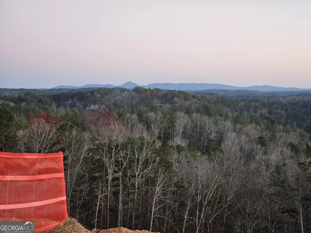 289 Anglers Ridge RD Talking Rock, GA 30175