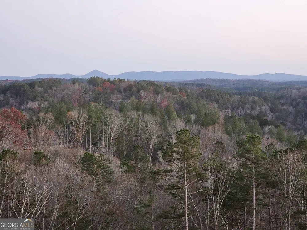 289 Anglers Ridge RD Talking Rock, GA 30175