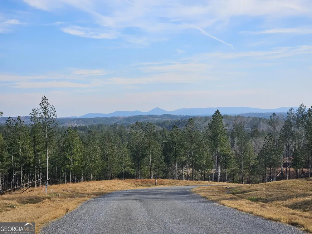 289 Anglers Ridge RD Talking Rock, GA 30175