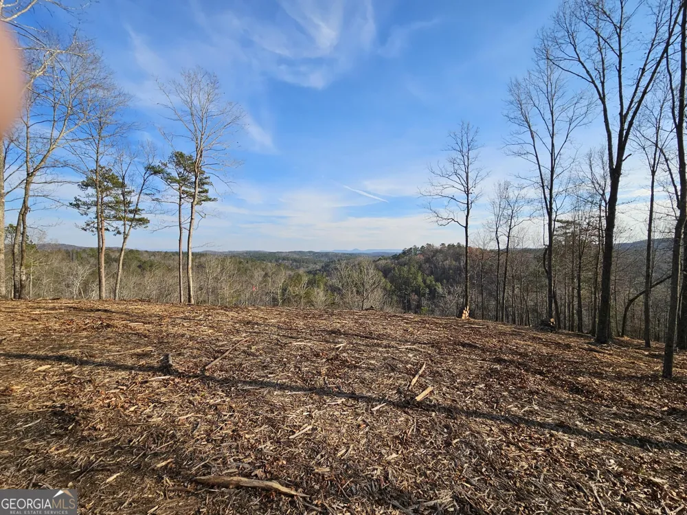 289 Anglers Ridge RD Talking Rock, GA 30175