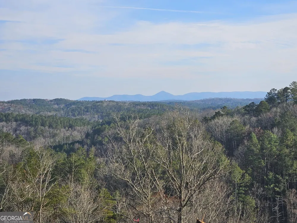 289 Anglers Ridge RD Talking Rock, GA 30175
