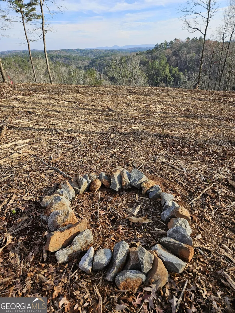 289 Anglers Ridge RD Talking Rock, GA 30175