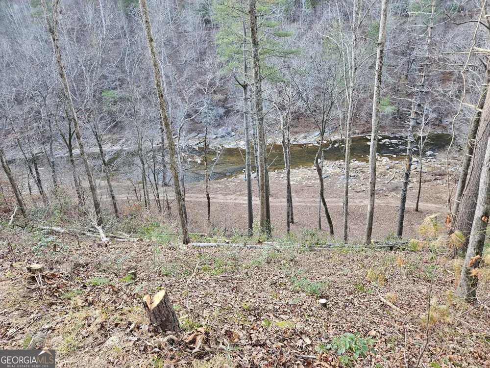 289 Anglers Ridge RD Talking Rock, GA 30175