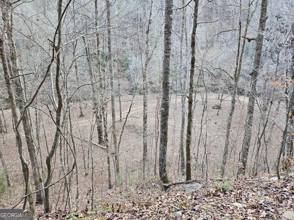 289 Anglers Ridge RD Talking Rock, GA 30175