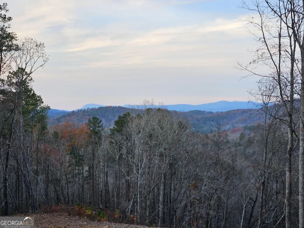 289 Anglers Ridge RD Talking Rock, GA 30175