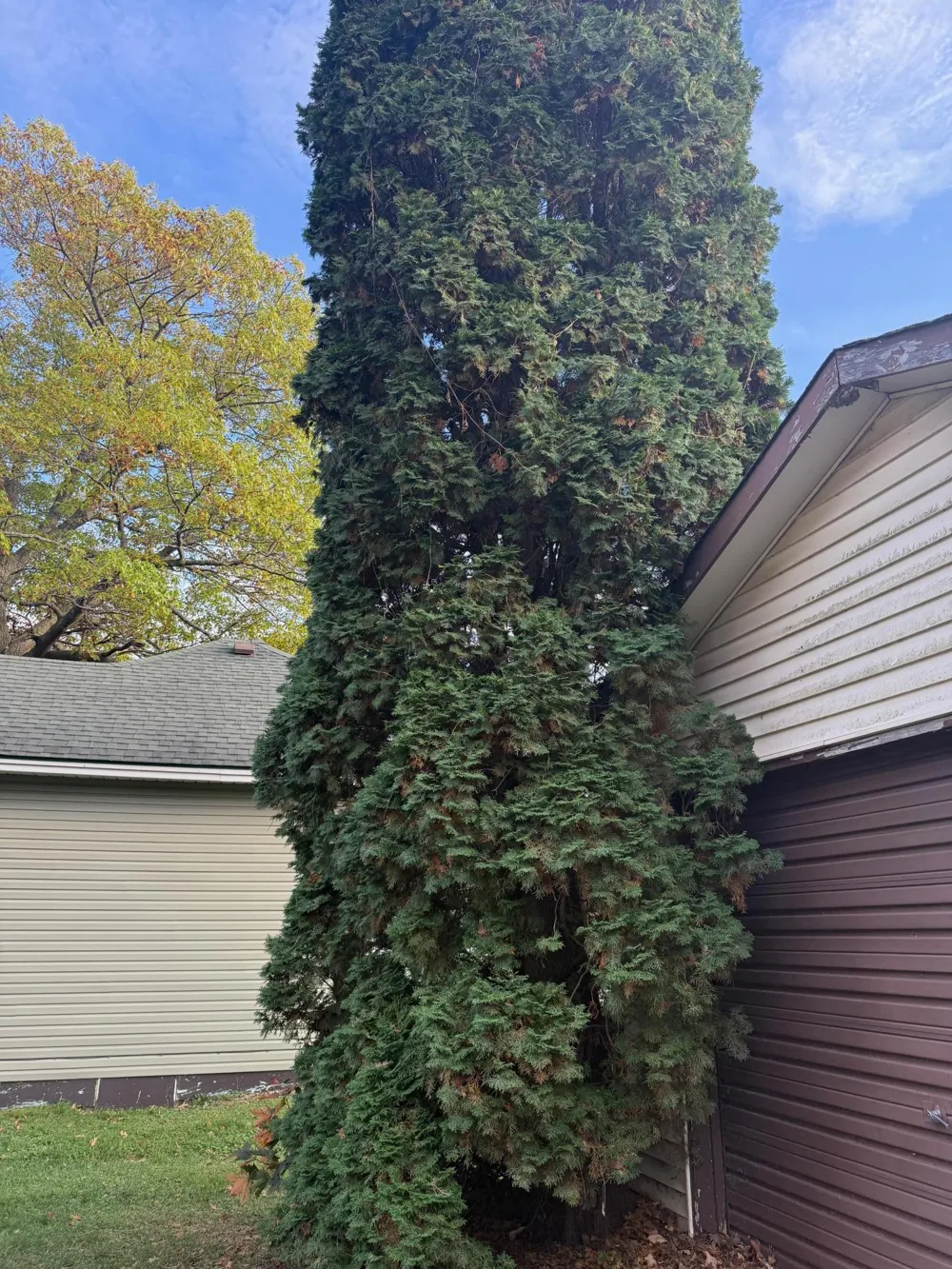 21893 Indian Carry Deerwood, MN 56444