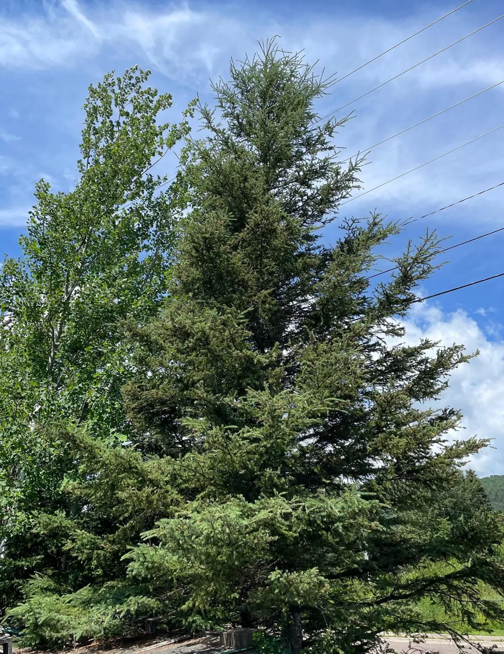 419 2nd Avenue W Grand Marais, MN 55604