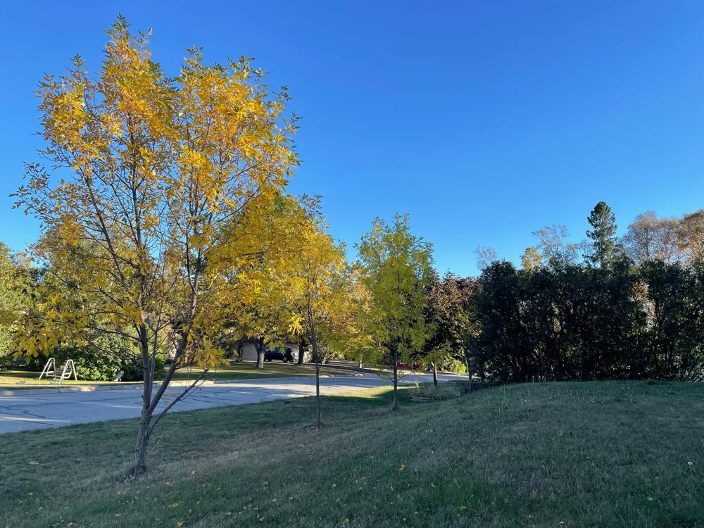419 2nd Avenue W Grand Marais, MN 55604