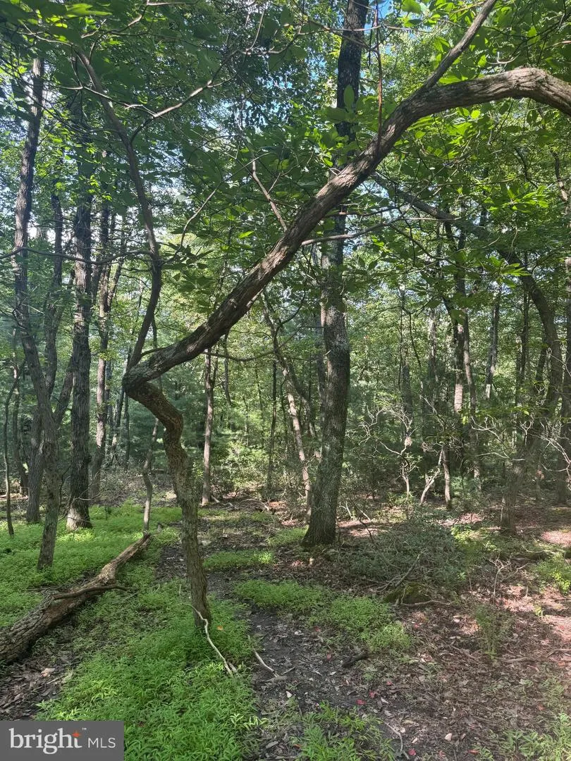 290 HIRSCHMANN ROAD Biglerville, PA 17307