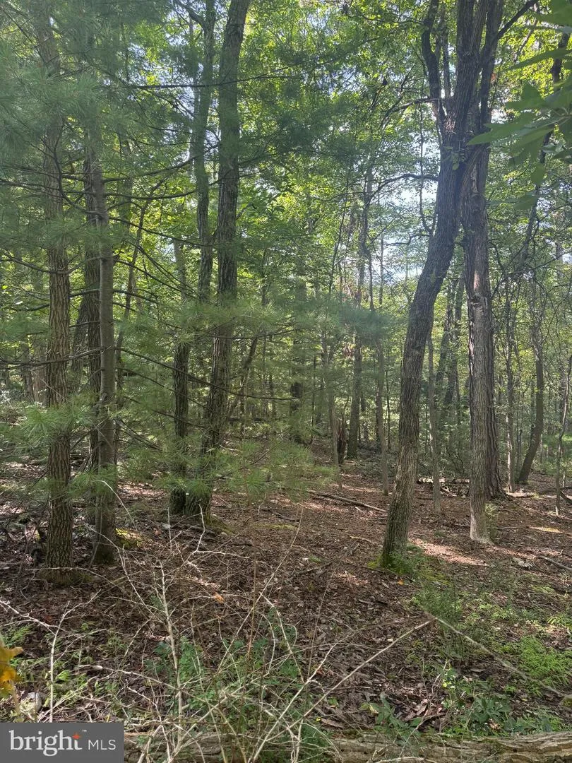 290 HIRSCHMANN ROAD Biglerville, PA 17307