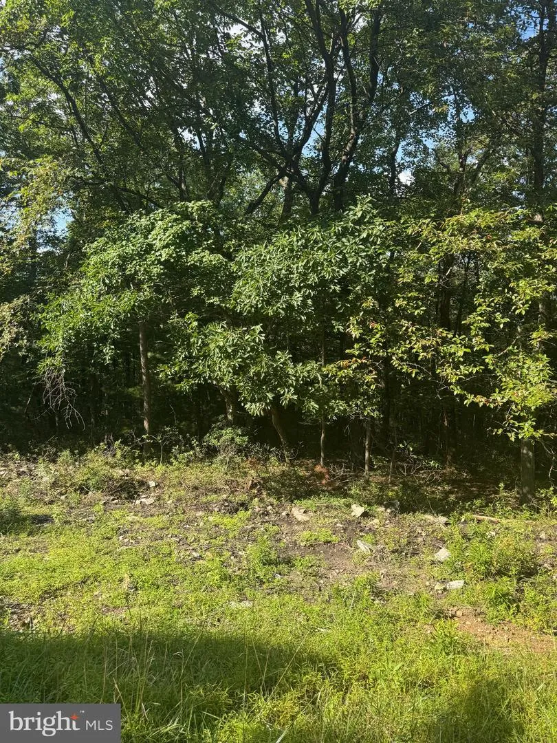 290 HIRSCHMANN ROAD Biglerville, PA 17307