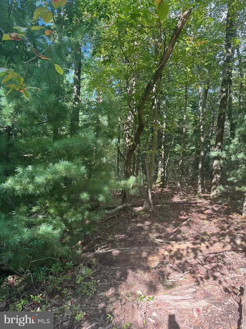 290 HIRSCHMANN ROAD Biglerville, PA 17307